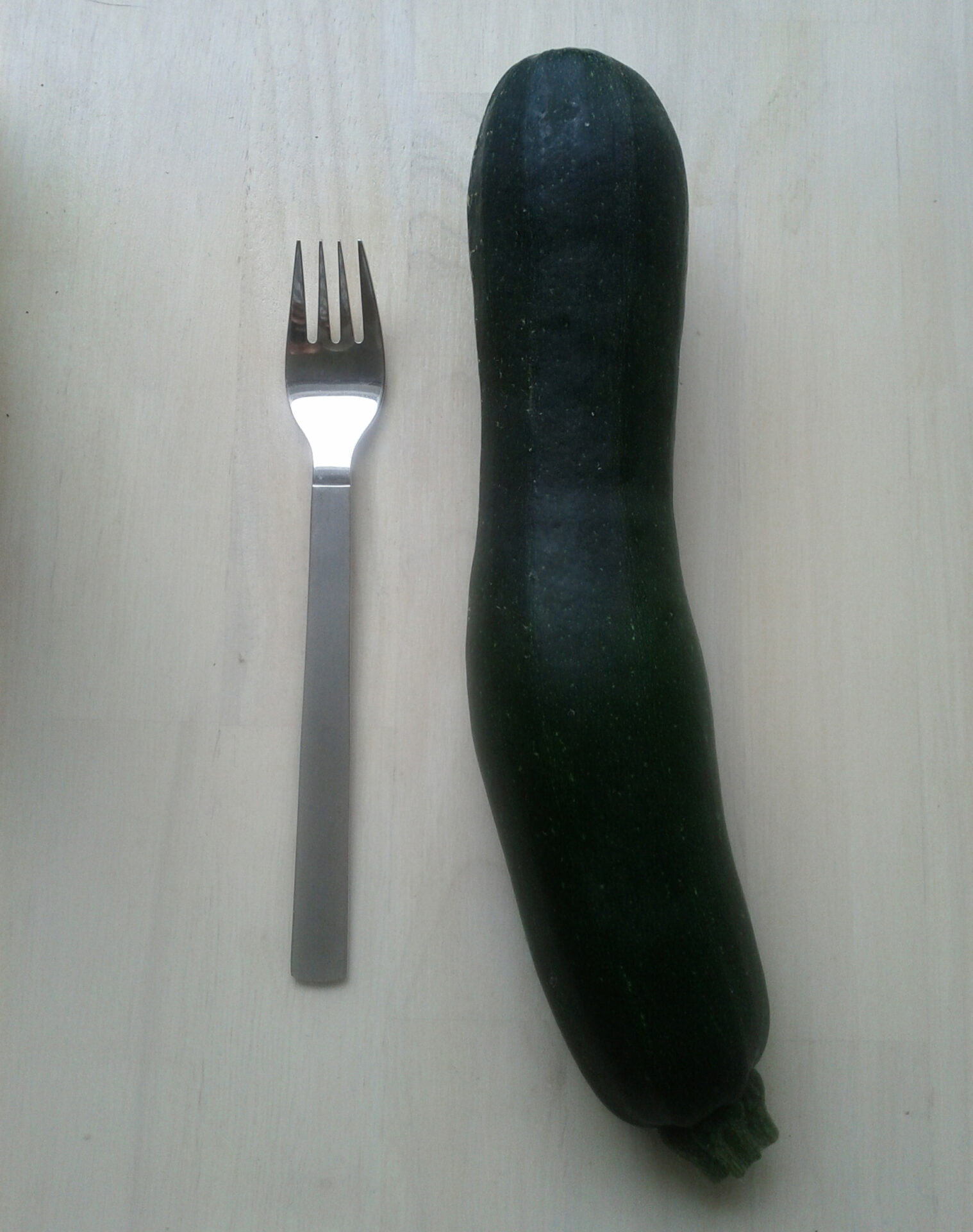 Zucchini och en gaffel för storleksjämförelse.